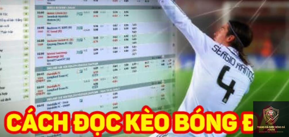 cách đọc điều khoản cá cược bóng đá - Image 1