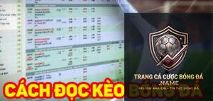 cách đọc tỷ lệ cá cược bóng đá
