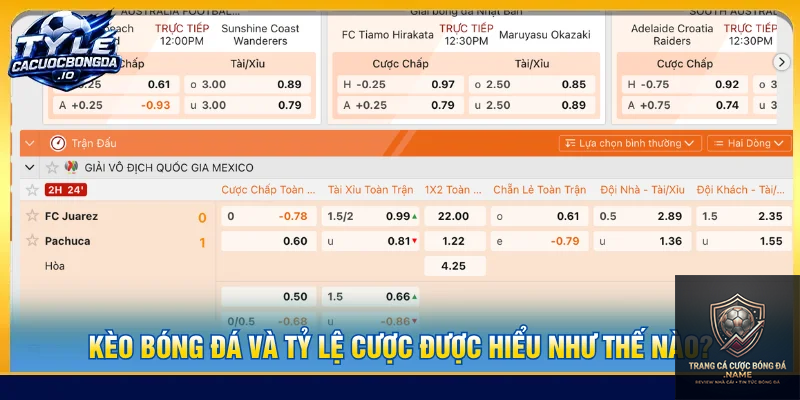 cách ghi chép kết quả cá cược bóng đá