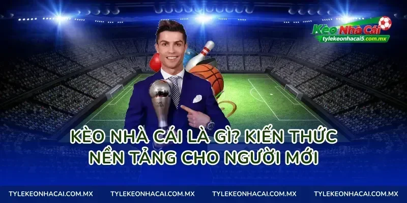 cách liên hệ hỗ trợ nhà cái bóng đá - Image 4