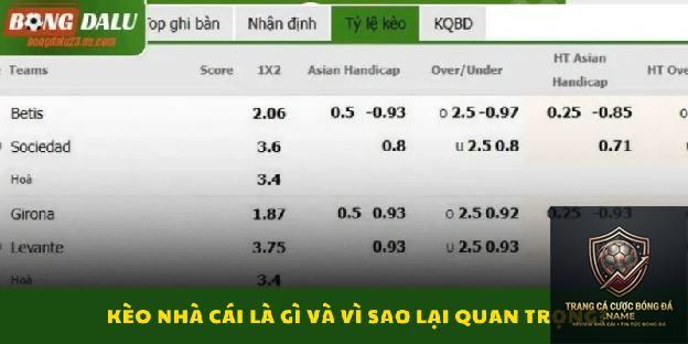 cách theo dõi tỷ lệ bóng đá - Image 4