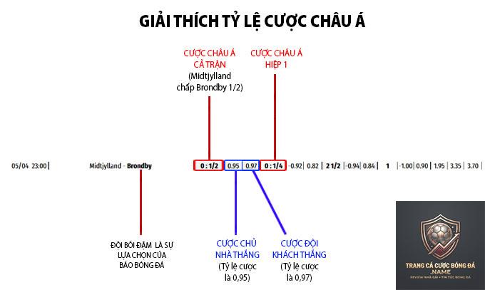 cách xem tỷ lệ kèo bóng đá - Image 5