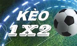 kèo 1X2 kết quả đơn - Image 5