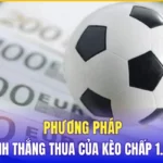 Kèo Châu Á 1.25 Thắng Nửa: Cách Đọc Và Kinh Nghiệm Chơi Hiệu Quả kèo châu Á 1.25 thắng nửa