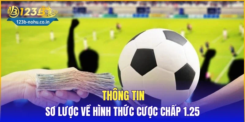 kèo châu Á 1.25 thắng nửa - Image 5