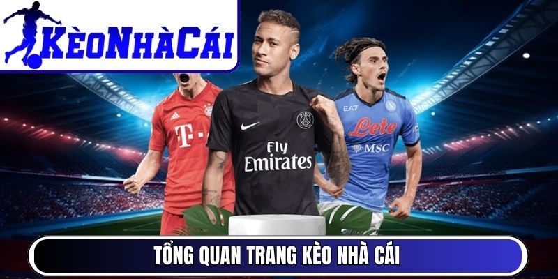 kèo châu Á ký hiệu chấp - Image 5