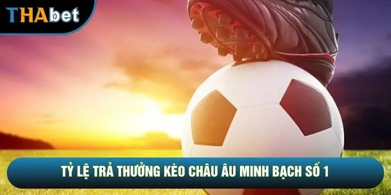 kèo châu Âu cửa chủ nhà - Image 2