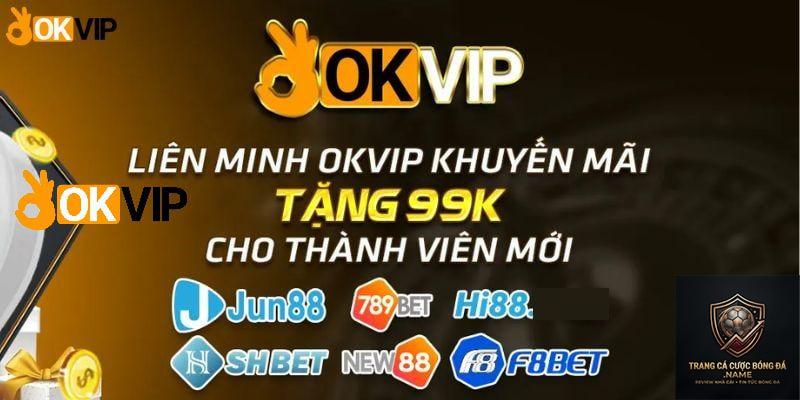 nhà cái OKVIP - Image 4