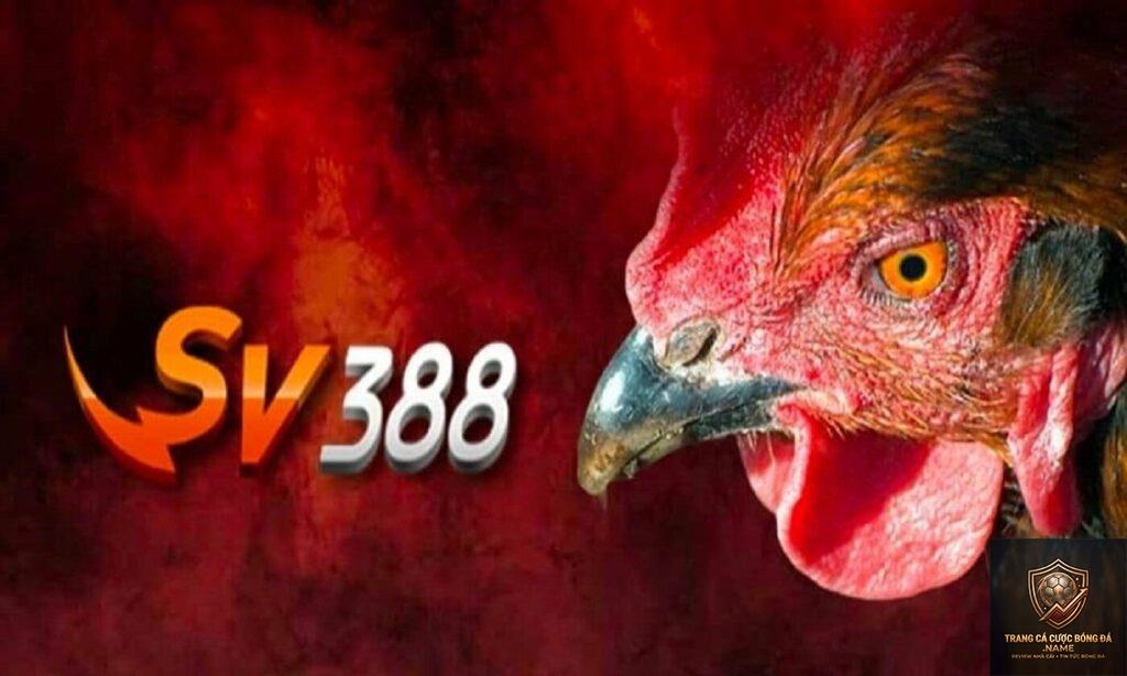 nhà cái SV388